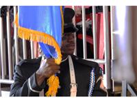 RGIII works as DC Color Guard