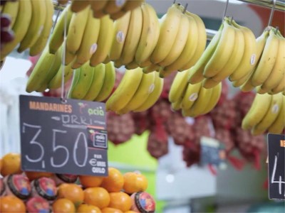 Diets with More Plant Protein Linked to Lower Risk of Death