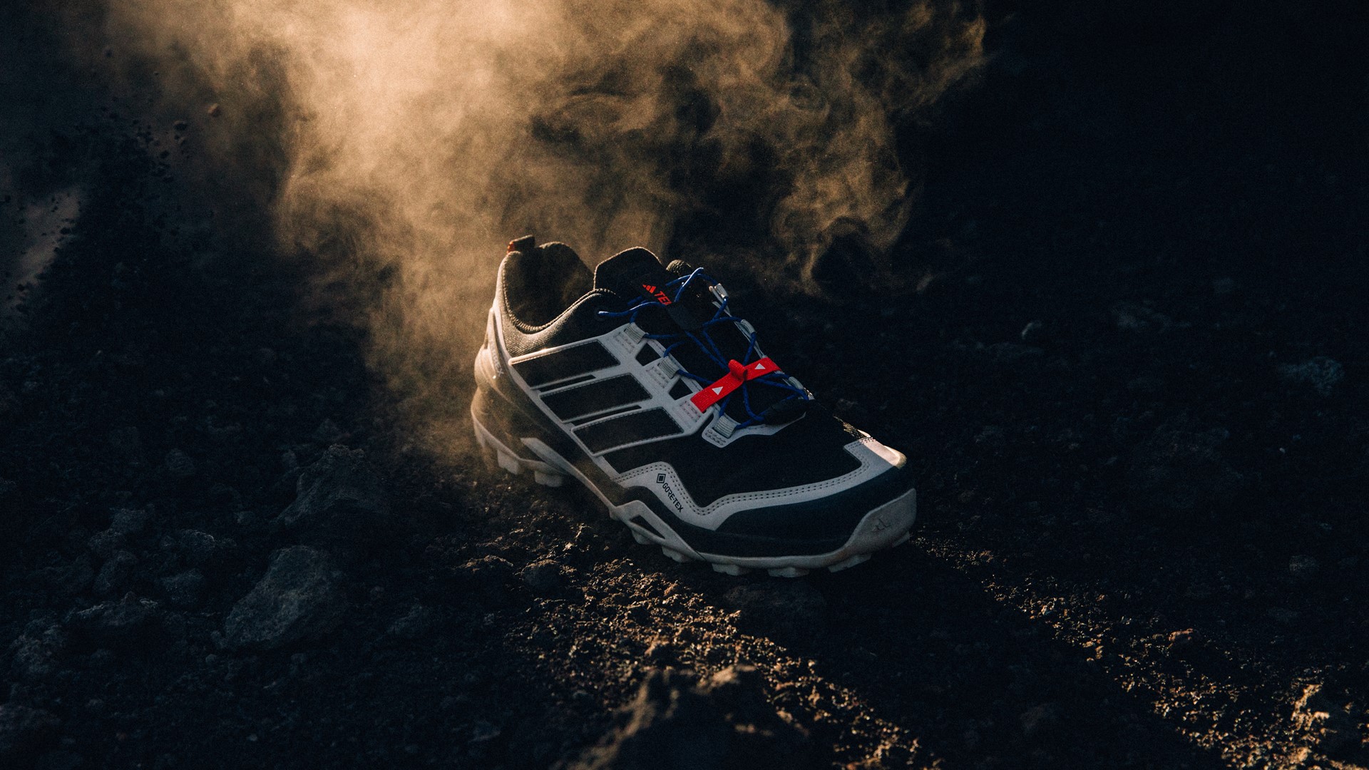 The adidas TERREX Skychaser GORE TEX