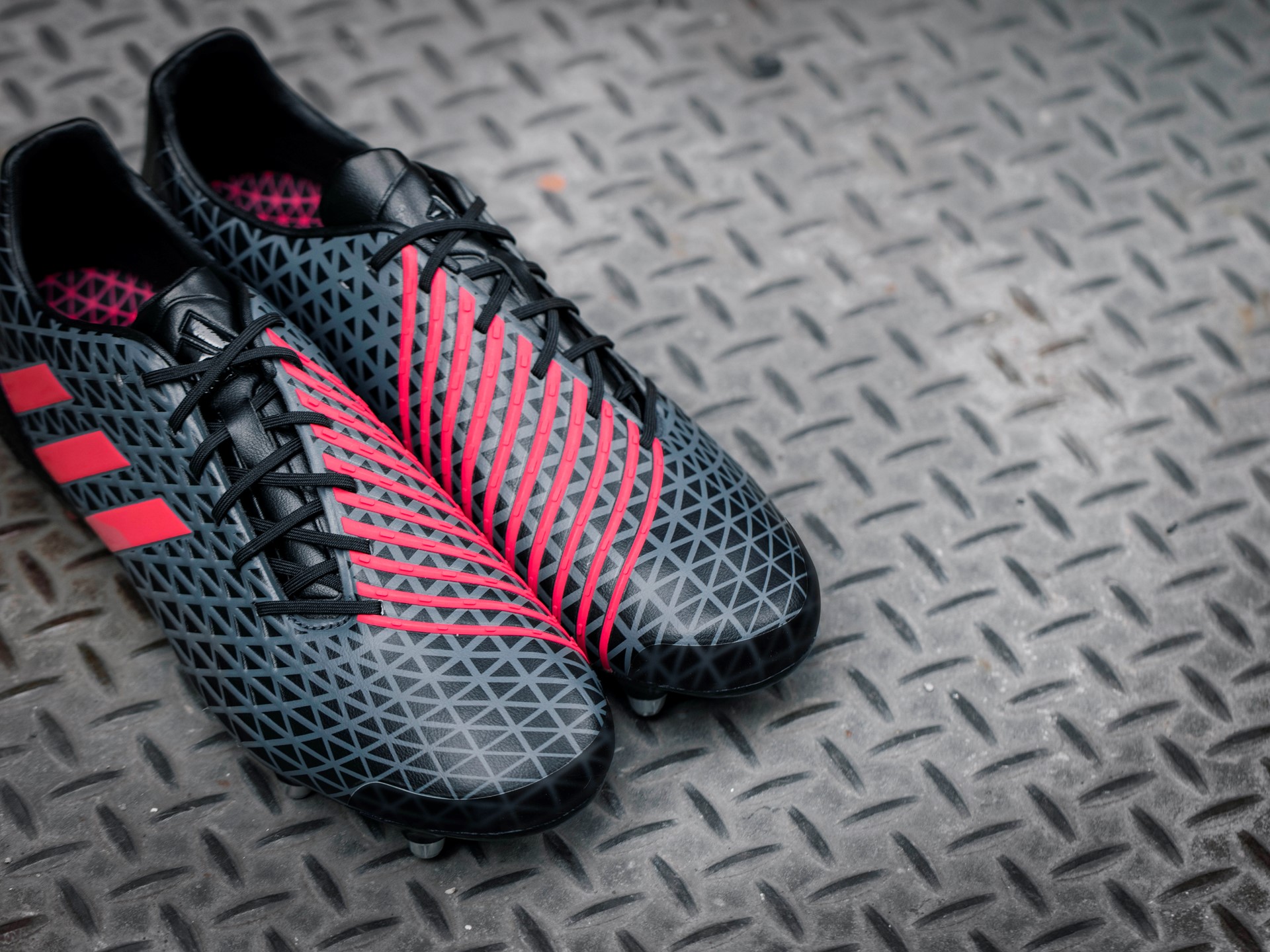 Predator Malice PR 02