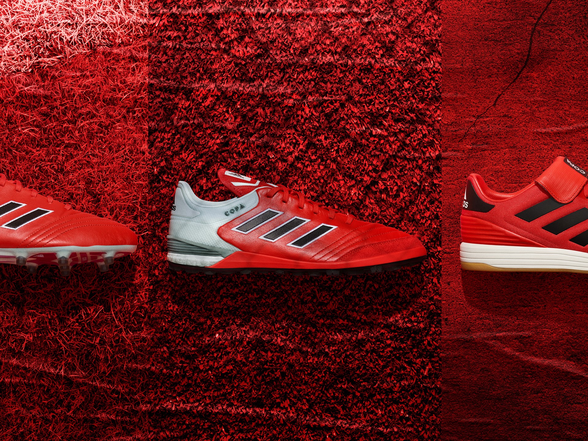 Copa Combined Visual RL