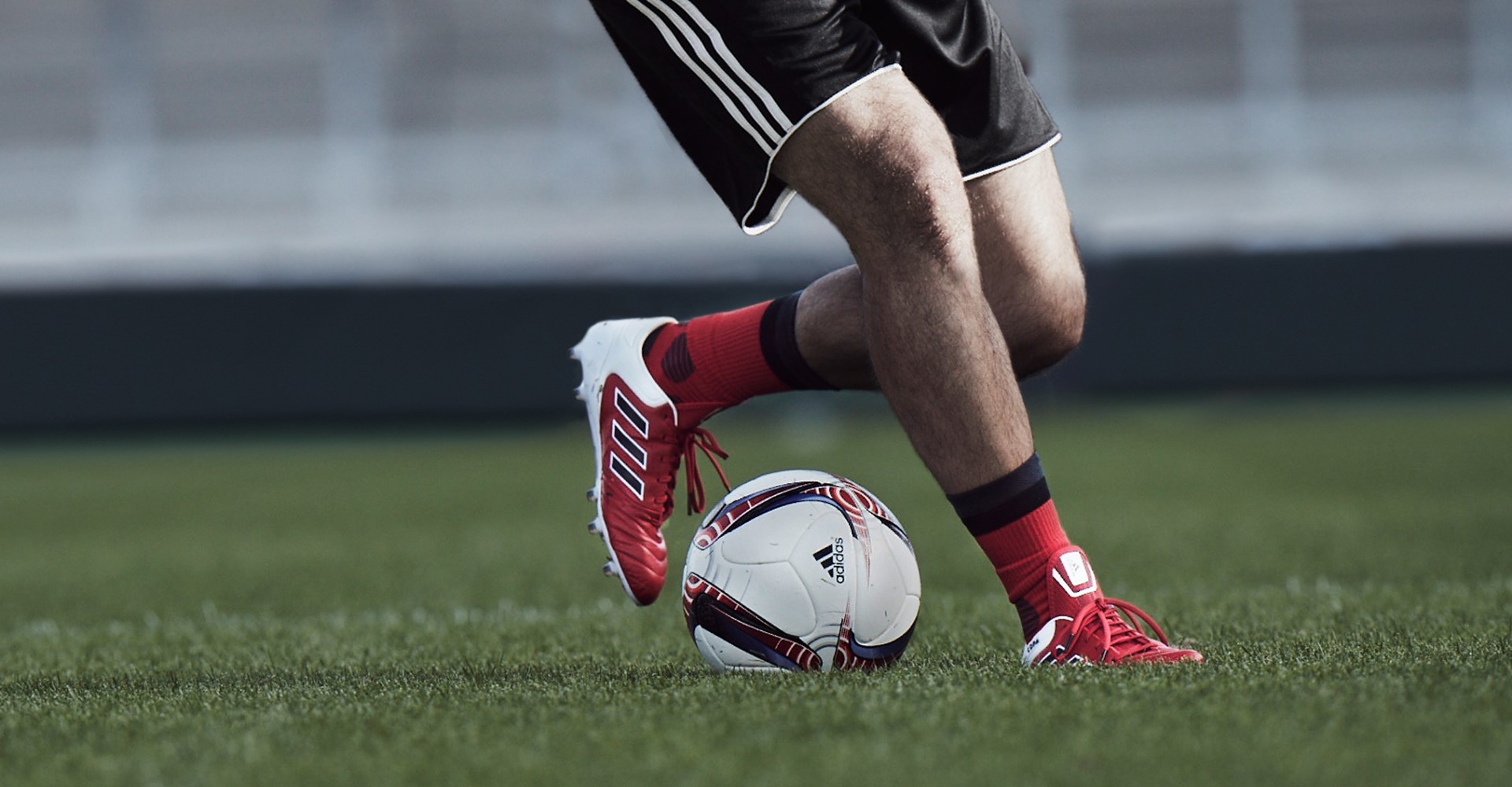 Social copa RL stadium