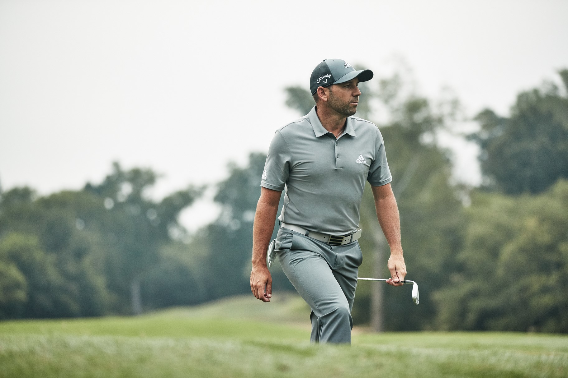 Sergio ultimate Polo grey solid