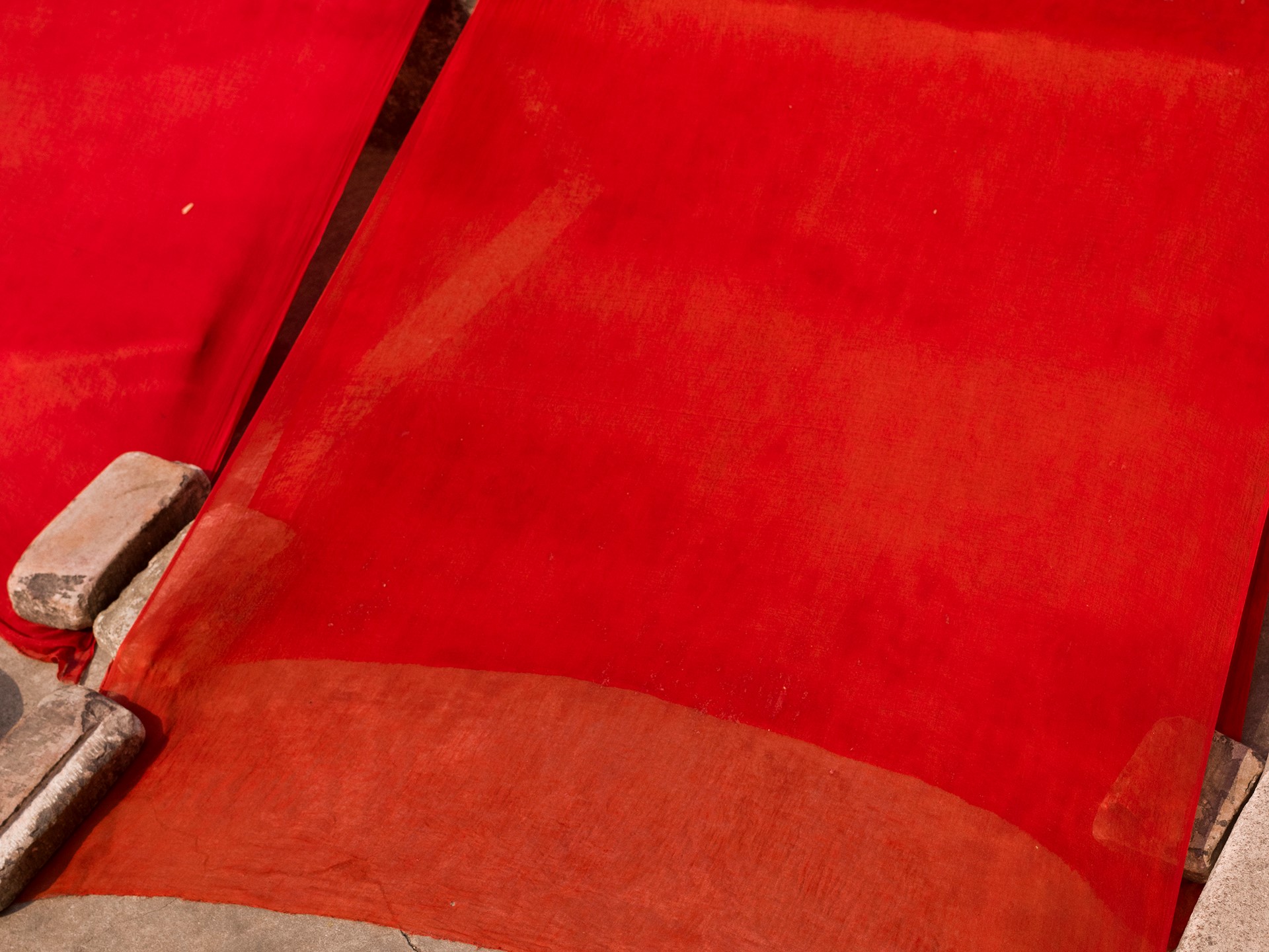 +H21254 adidas Originals PHARRELL WILLIAMS Hu Holi adicolor Key Visual Environmental Shot Red