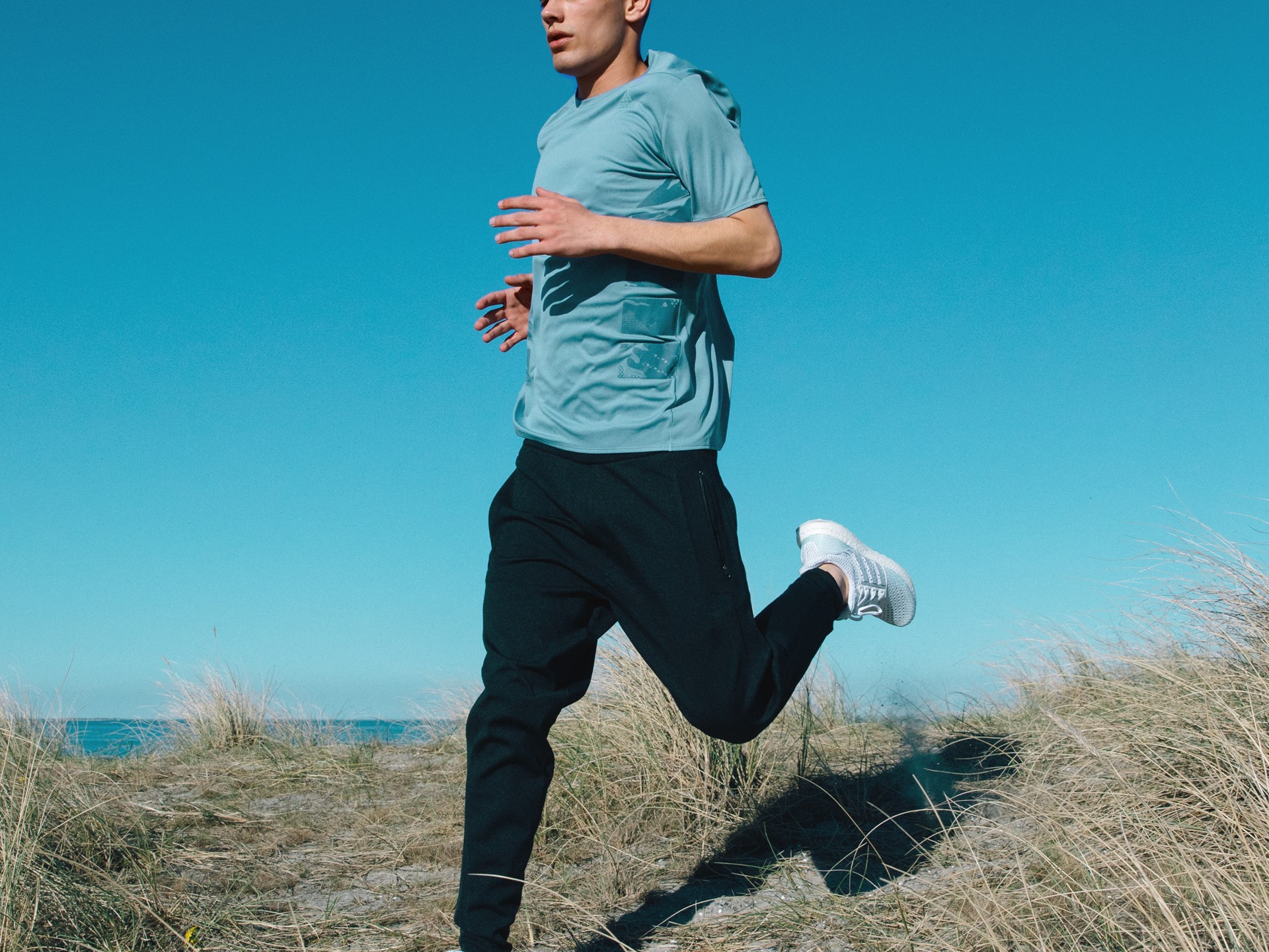 LTD UlraBOOST in-action model