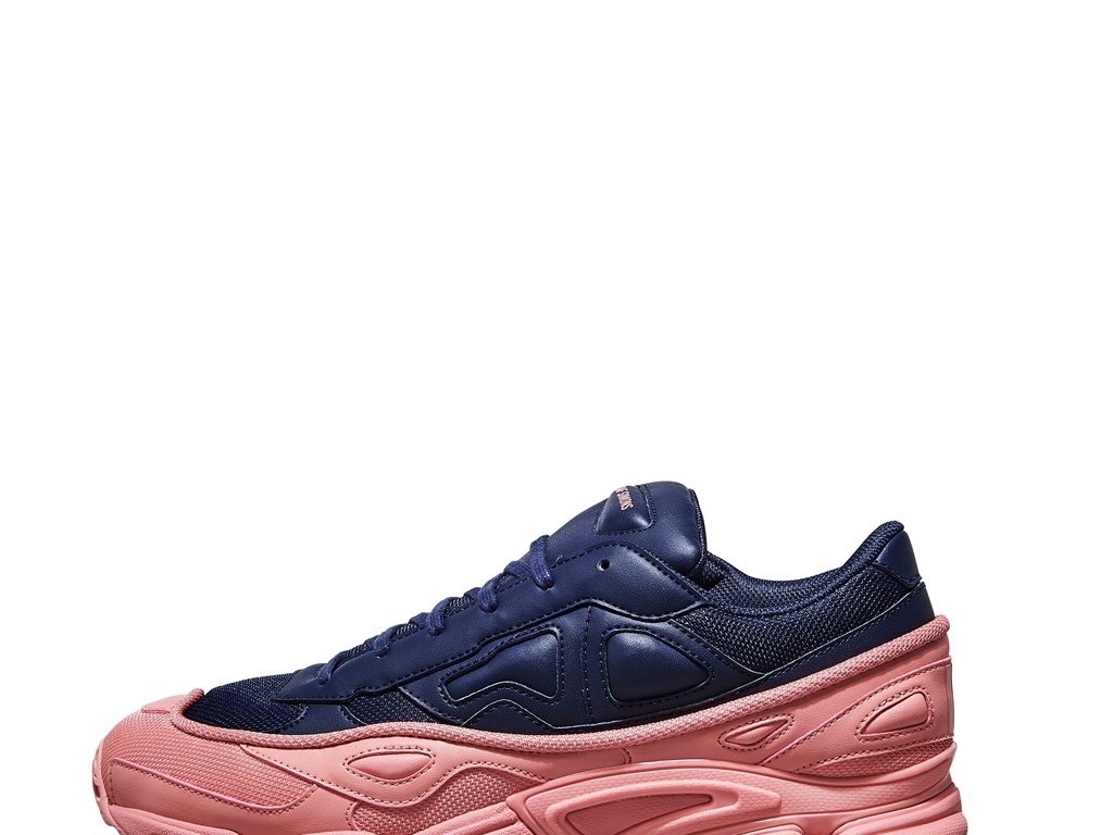 Raf Simons Ozweego and Stan Smith