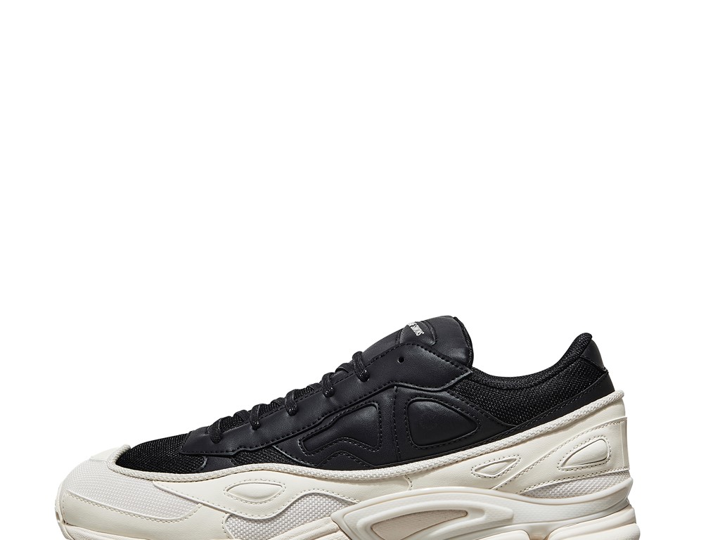 Raf Simons Ozweego and Stan Smith