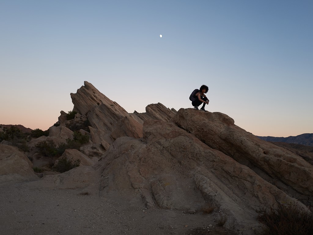 adidas TERREX Free Hiker