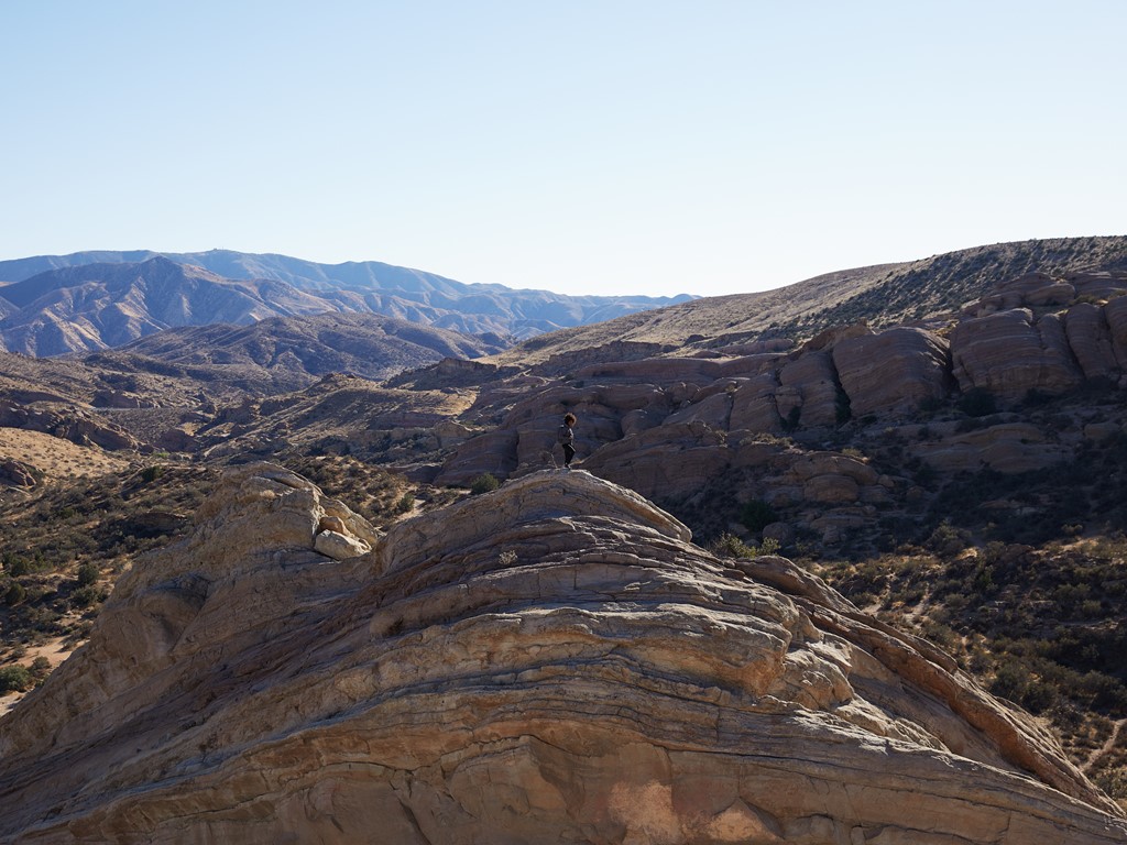 adidas TERREX Free Hiker