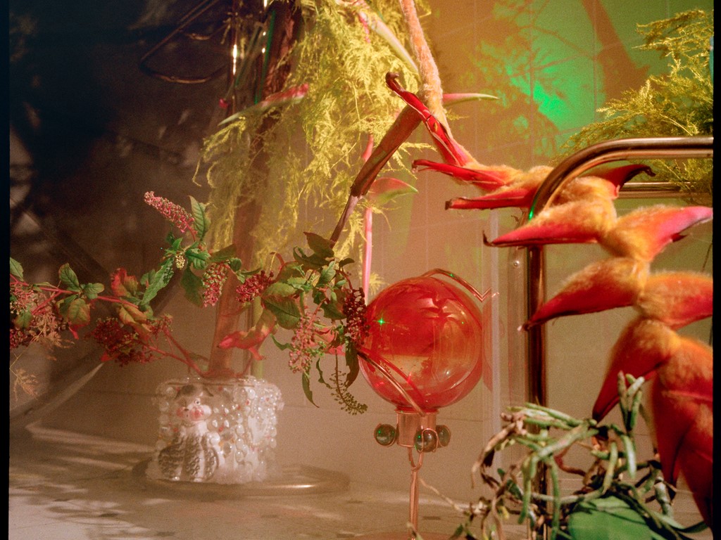 adidas Originals - Sleek FebLook - Mood