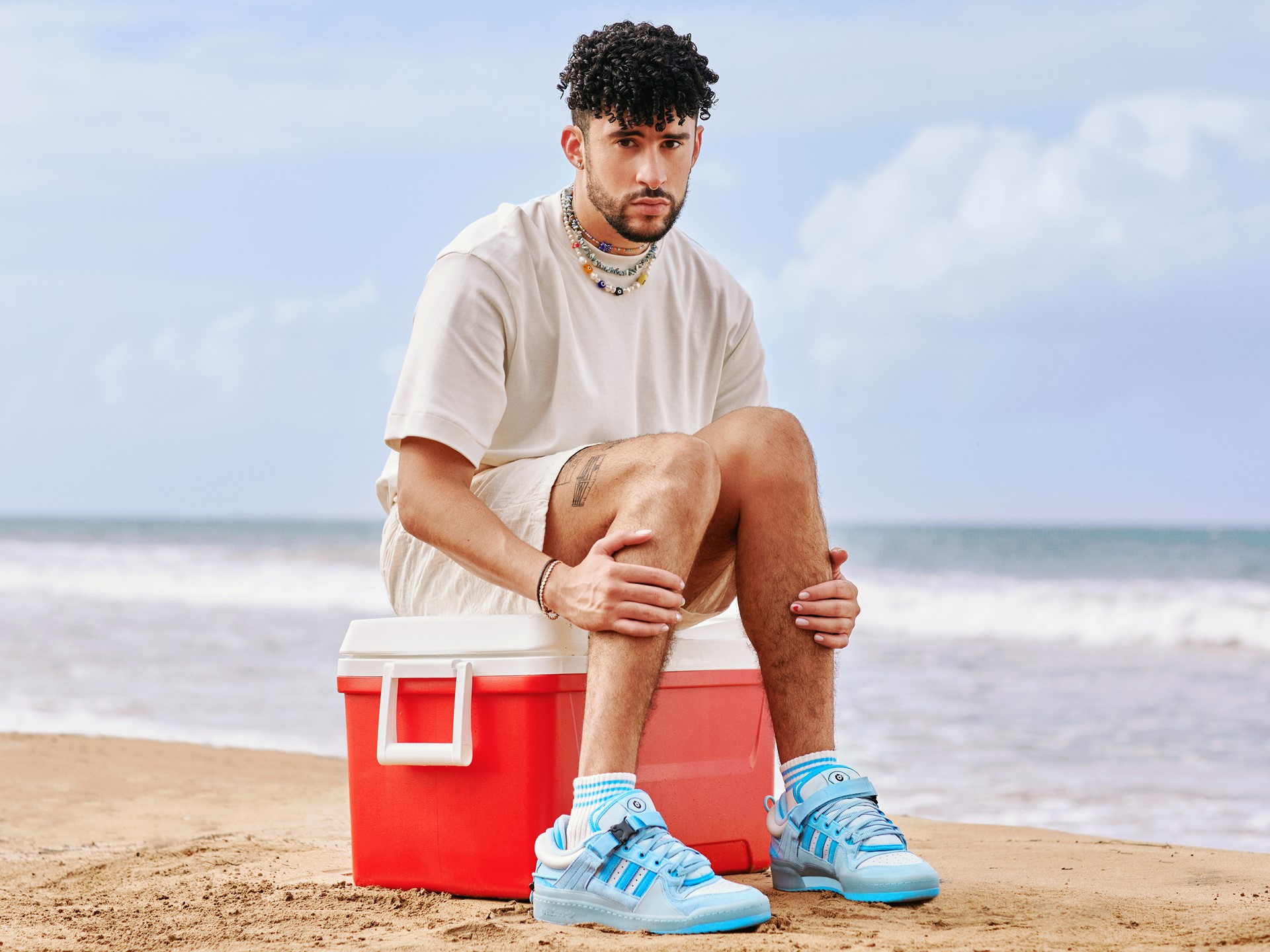 Bad Bunny Baby Blue Forum