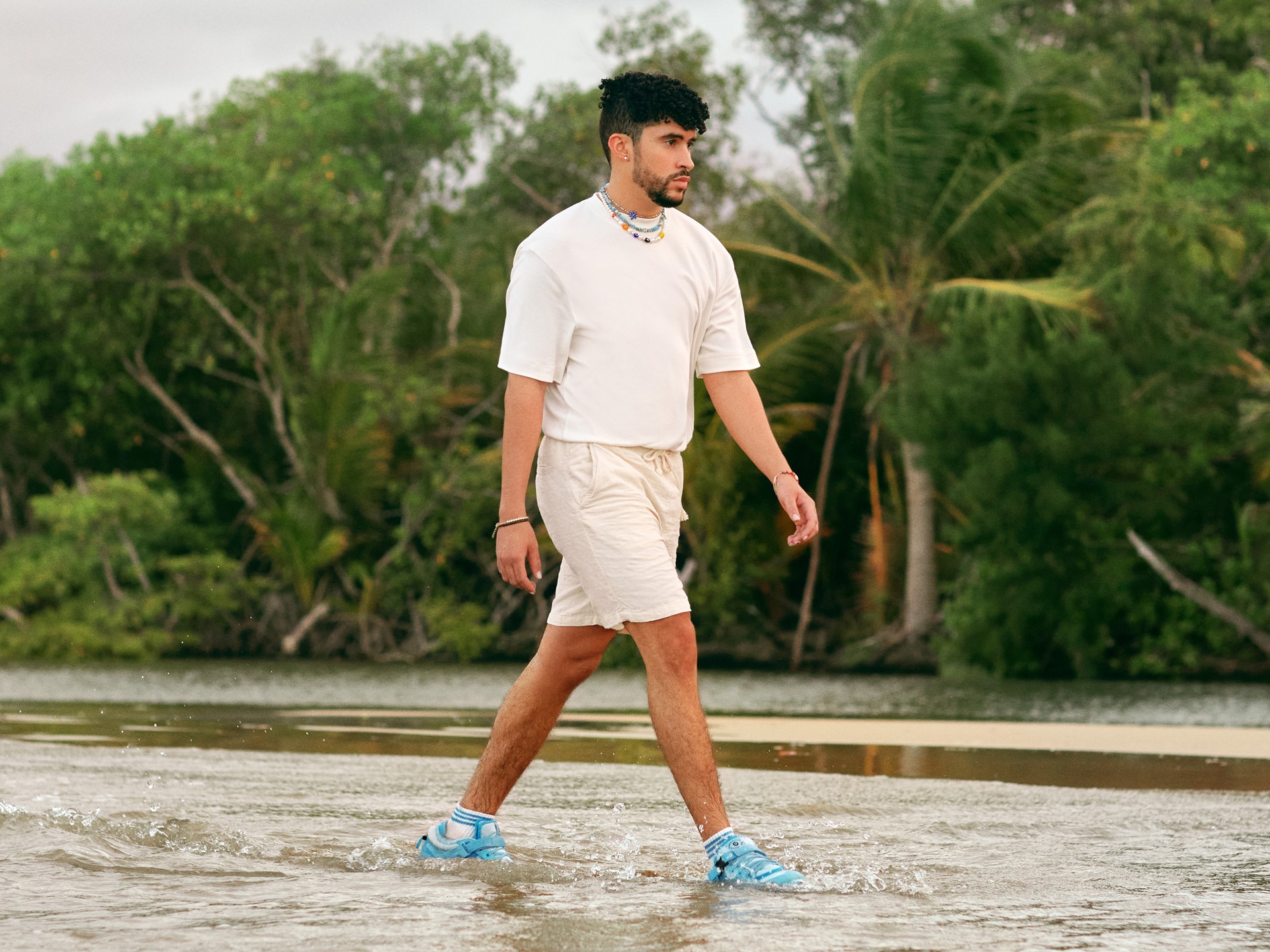 Bad Bunny Baby Blue Forum