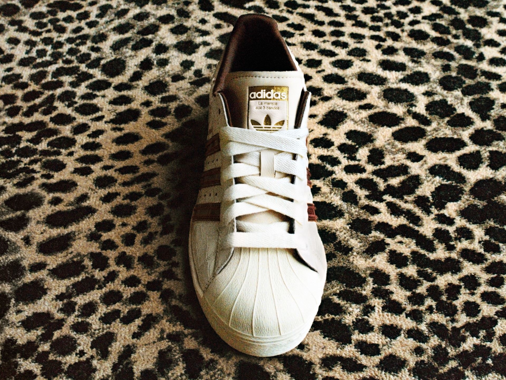  o wb aw25 stilllife 05 16 9