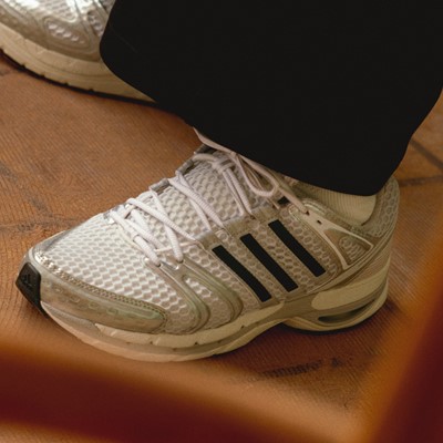  h24629 adistar larry lk b 0960 1 larry june 16 9 1365173