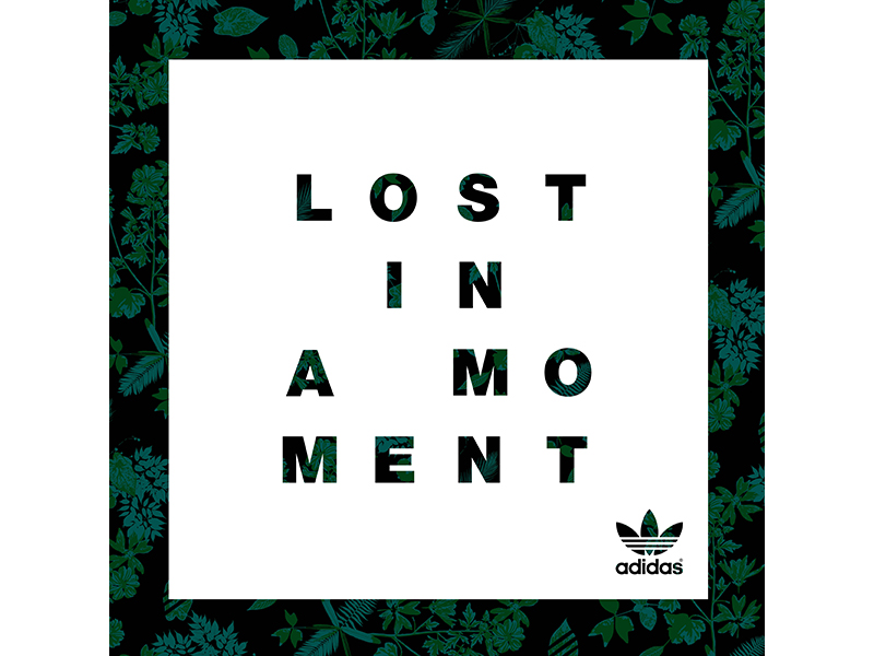 Lost in a Moment Facebook Lost in a Moment Facebook