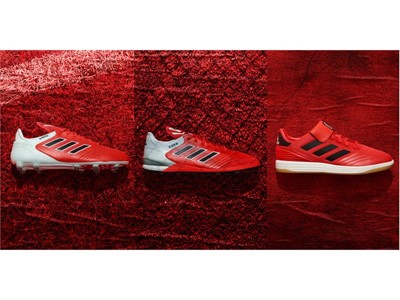 Copa Combined Visual RL