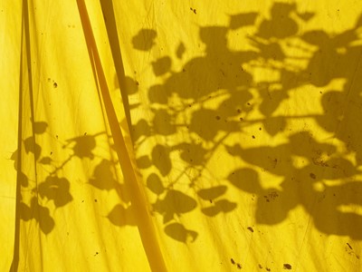 +H21254 adidas Originals PHARRELL WILLIAMS Hu Holi adicolor Key Visual Environmental Shot Yellow