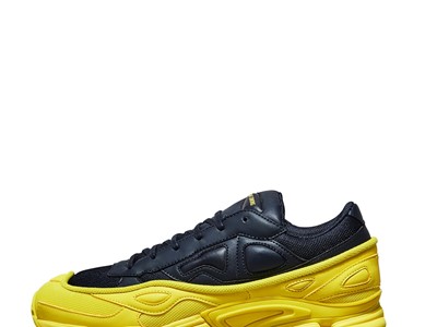 Raf Simons Ozweego and Stan Smith