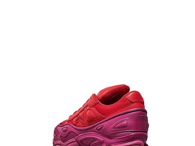 Raf Simons Ozweego and Stan Smith