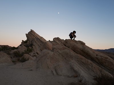 adidas TERREX Free Hiker