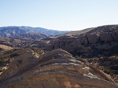 adidas TERREX Free Hiker