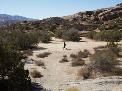 adidas TERREX Free Hiker