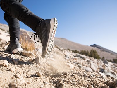 adidas TERREX Free Hiker