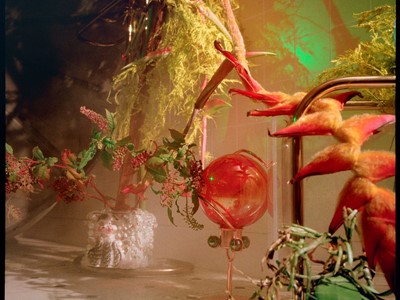 adidas Originals - Sleek FebLook - Mood