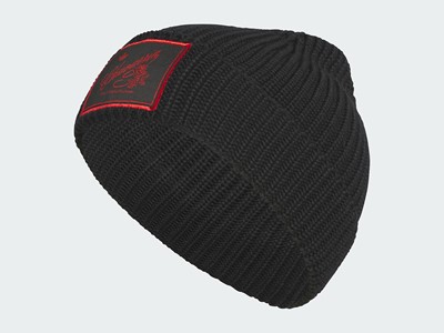 Chavarria Knitted Beanie Hat