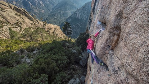 Vertical Reality Climber 2