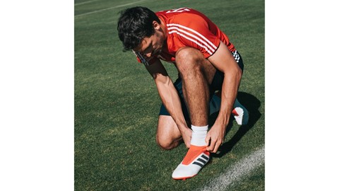 Hummels Pred