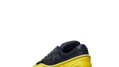 Raf Simons Ozweego and Stan Smith