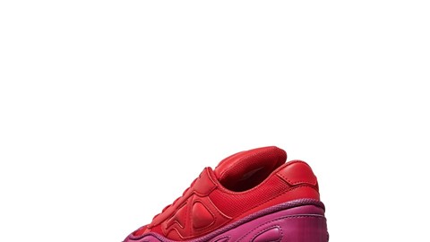 Raf Simons Ozweego and Stan Smith