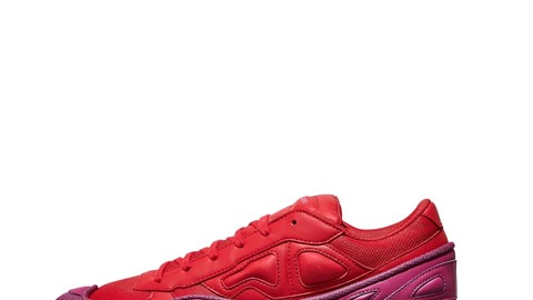 Raf Simons Ozweego and Stan Smith
