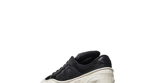 Raf Simons Ozweego and Stan Smith