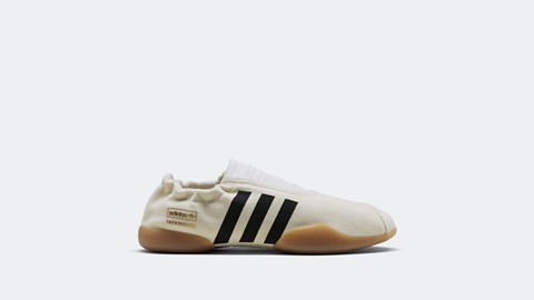 adidas Taekwondo Model