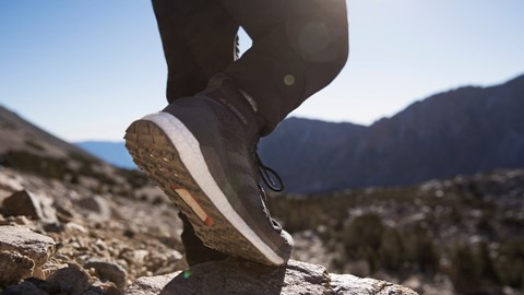 adidas TERREX Free Hiker