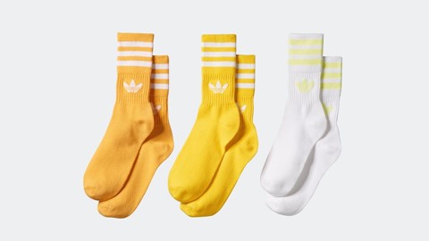The adicolor FW19 collection