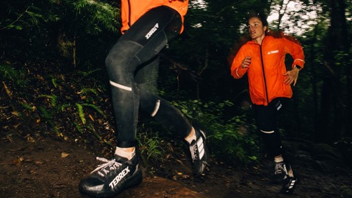 adidas TERREX Agravic GORE TEX Shoes