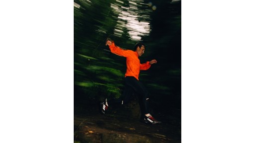 adidas TERREX Agravic GORE TEX Shoes