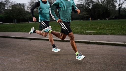 adidas Adizero Boston 13