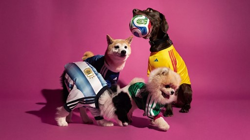 adidas unveils the FIFA World Cup 2026™ Home Jerseys Pet Collection