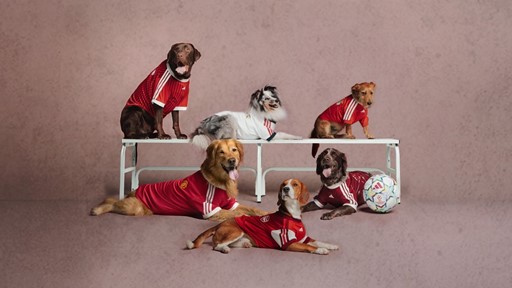 The adidas Clubs Pet Collection