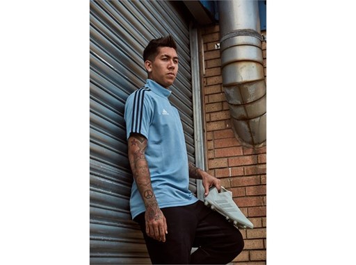 firmino nemeziz