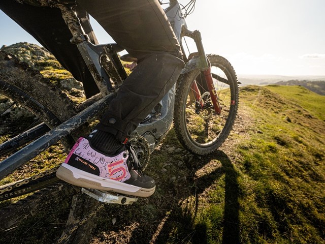 Adidas breast cancer awareness collection - free rider pro canvas