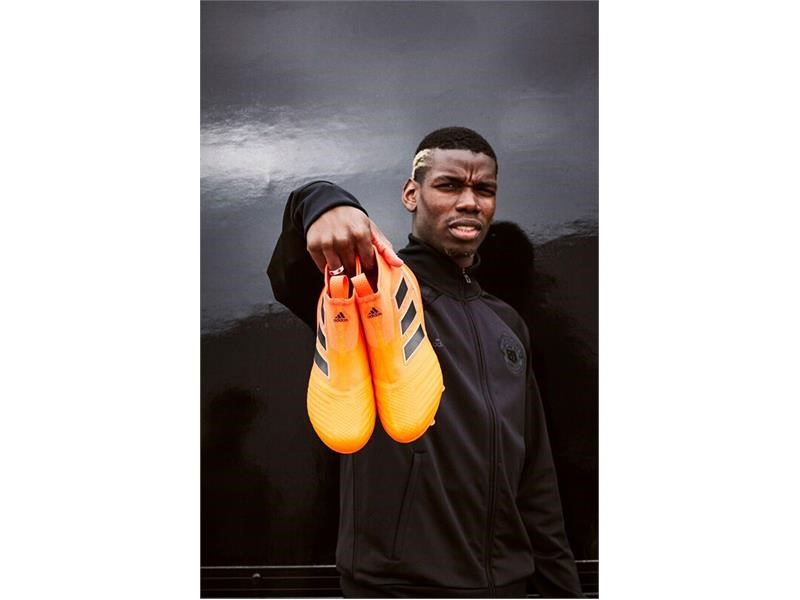 purecontrol pyro storm