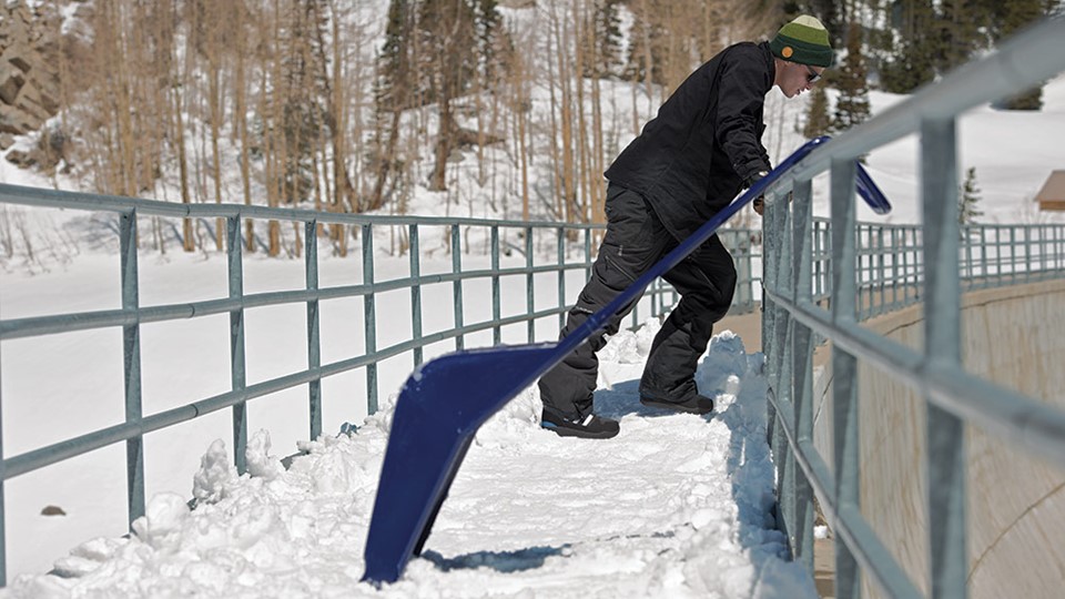 adisnow - The Samba (low res)