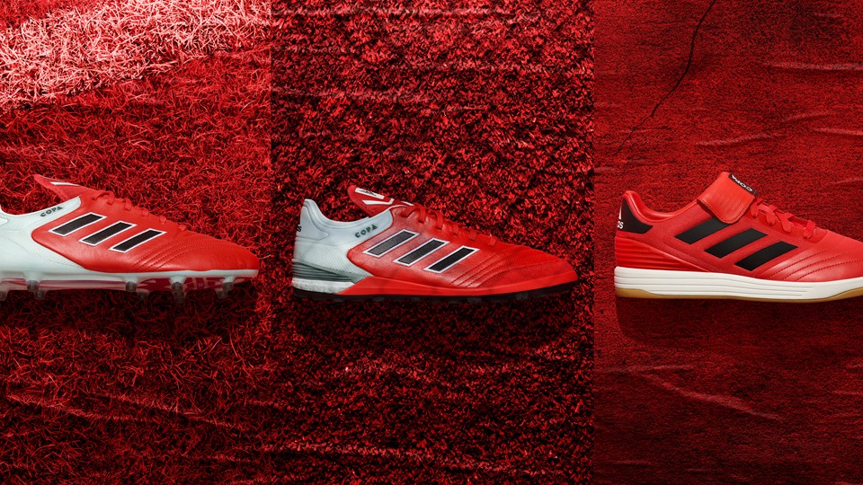 Copa Combined Visual RL