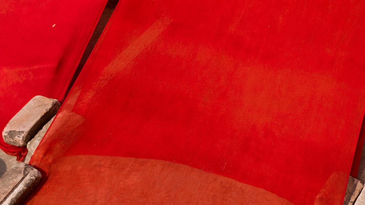 +H21254 adidas Originals PHARRELL WILLIAMS Hu Holi adicolor Key Visual Environmental Shot Red