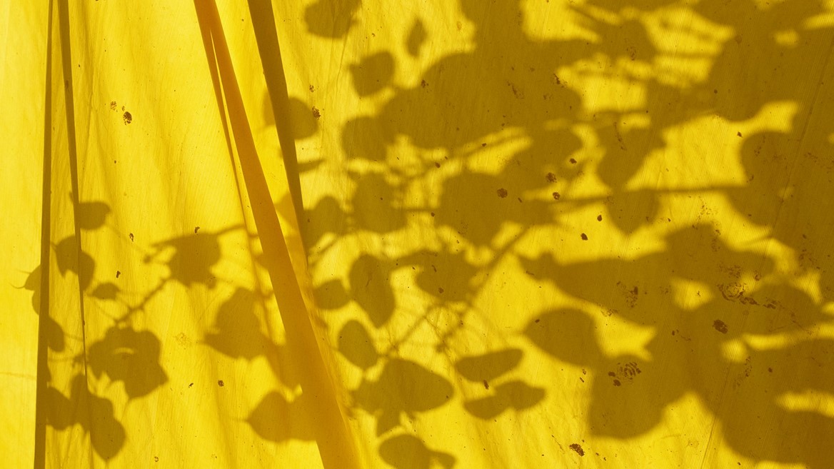 +H21254 adidas Originals PHARRELL WILLIAMS Hu Holi adicolor Key Visual Environmental Shot Yellow